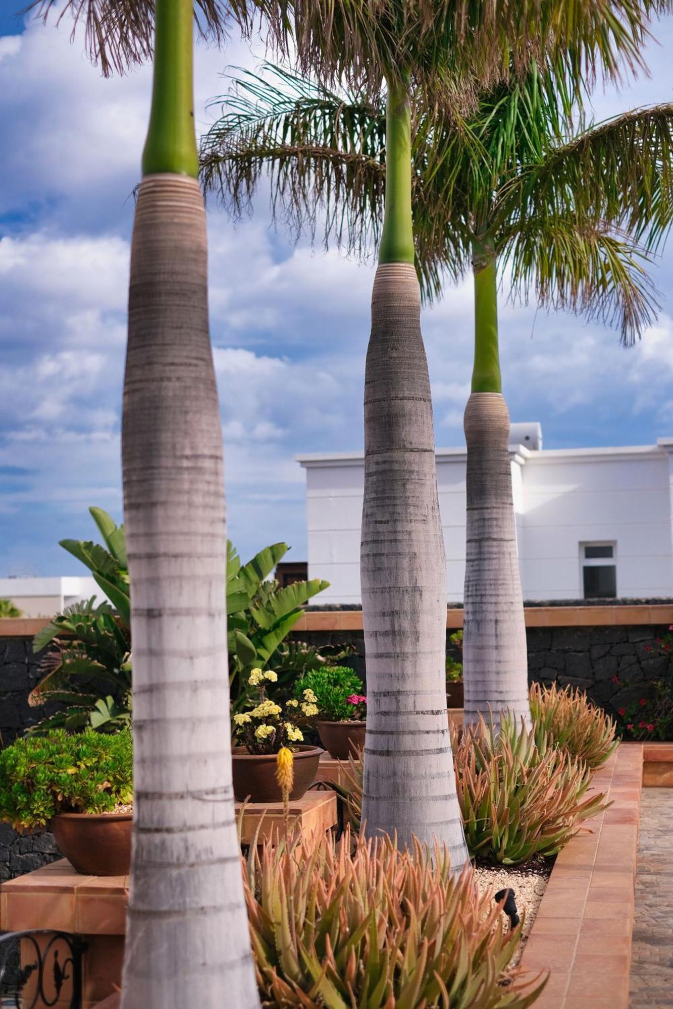 Casa Mia Puerto Calero Exterior foto